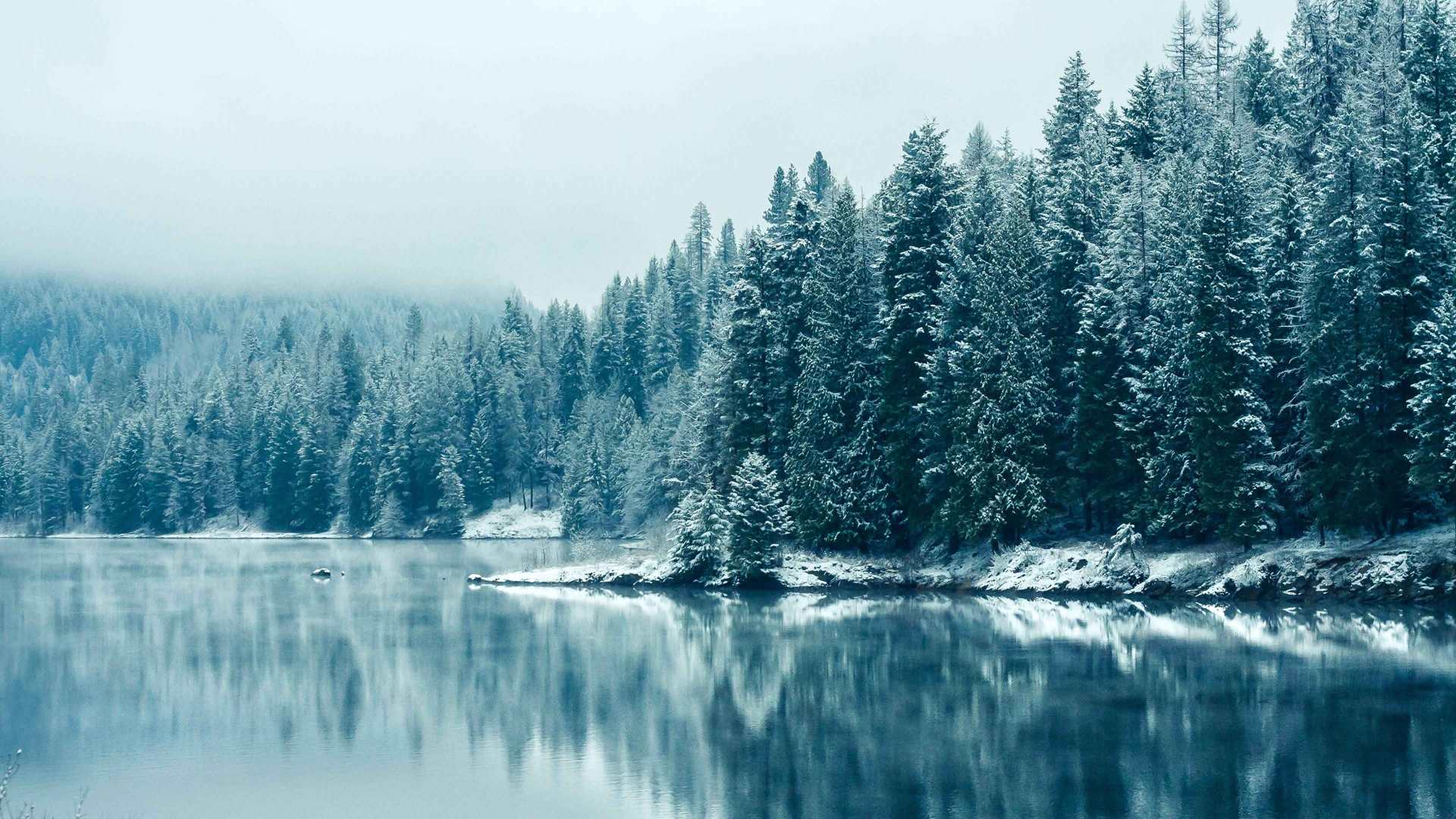 4k-3840-x-2160-wallpapers-themefoxx 1258 — Daily life scenes wallpaper