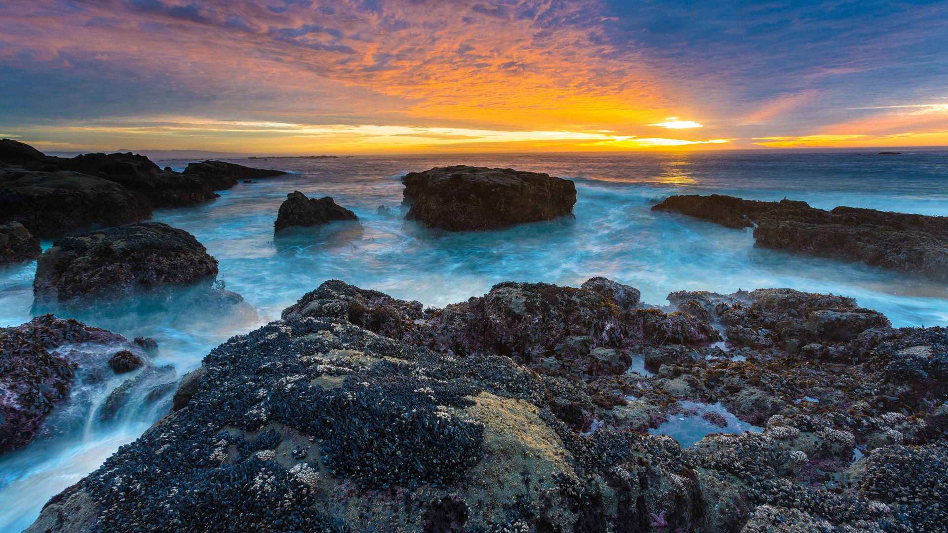 4k-3840-x-2160-wallpapers-themefoxx 1583 — Daily life scenes wallpaper