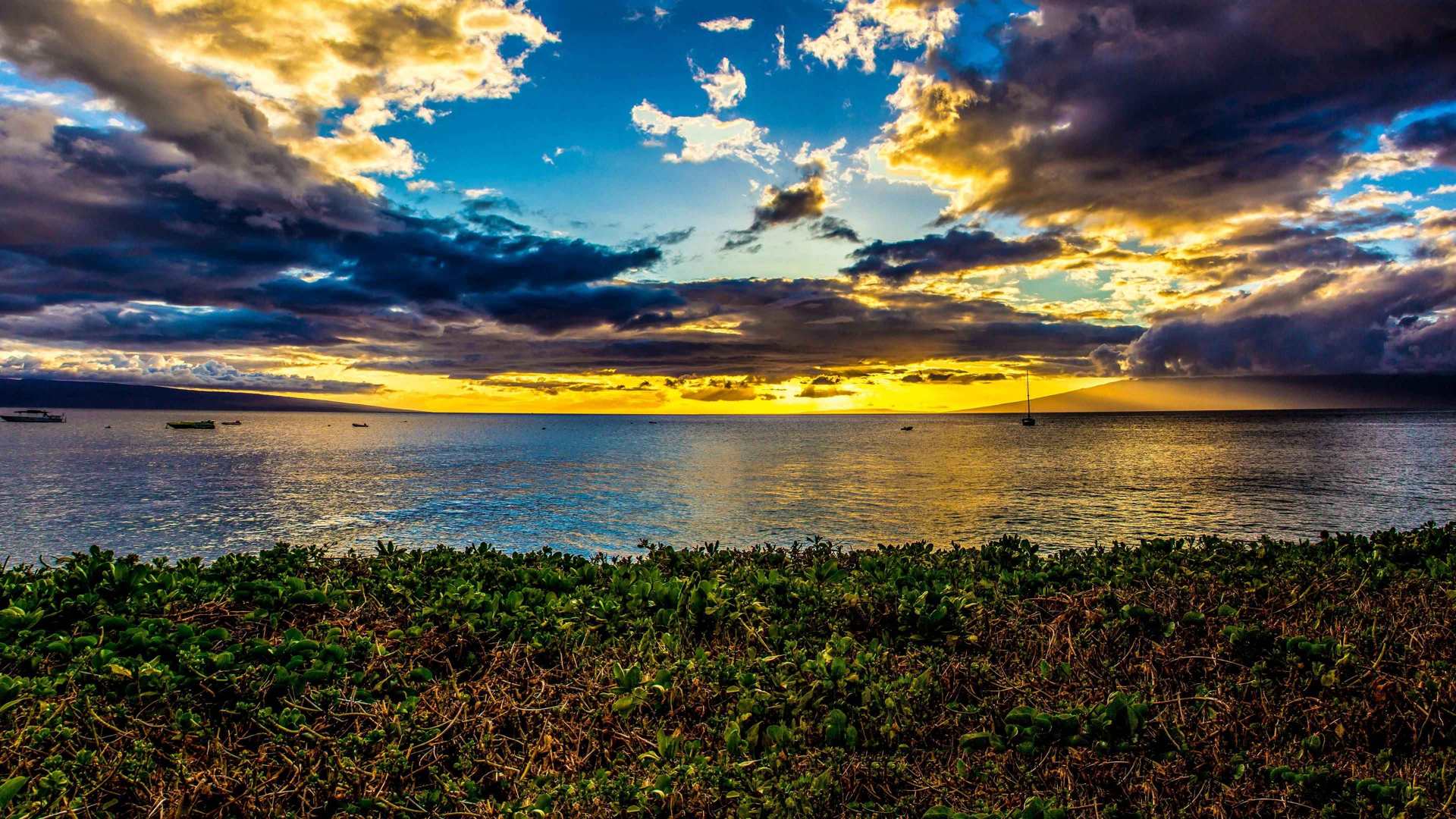 4k-3840-x-2160-wallpapers-themefoxx 923 — Daily life scenes wallpaper