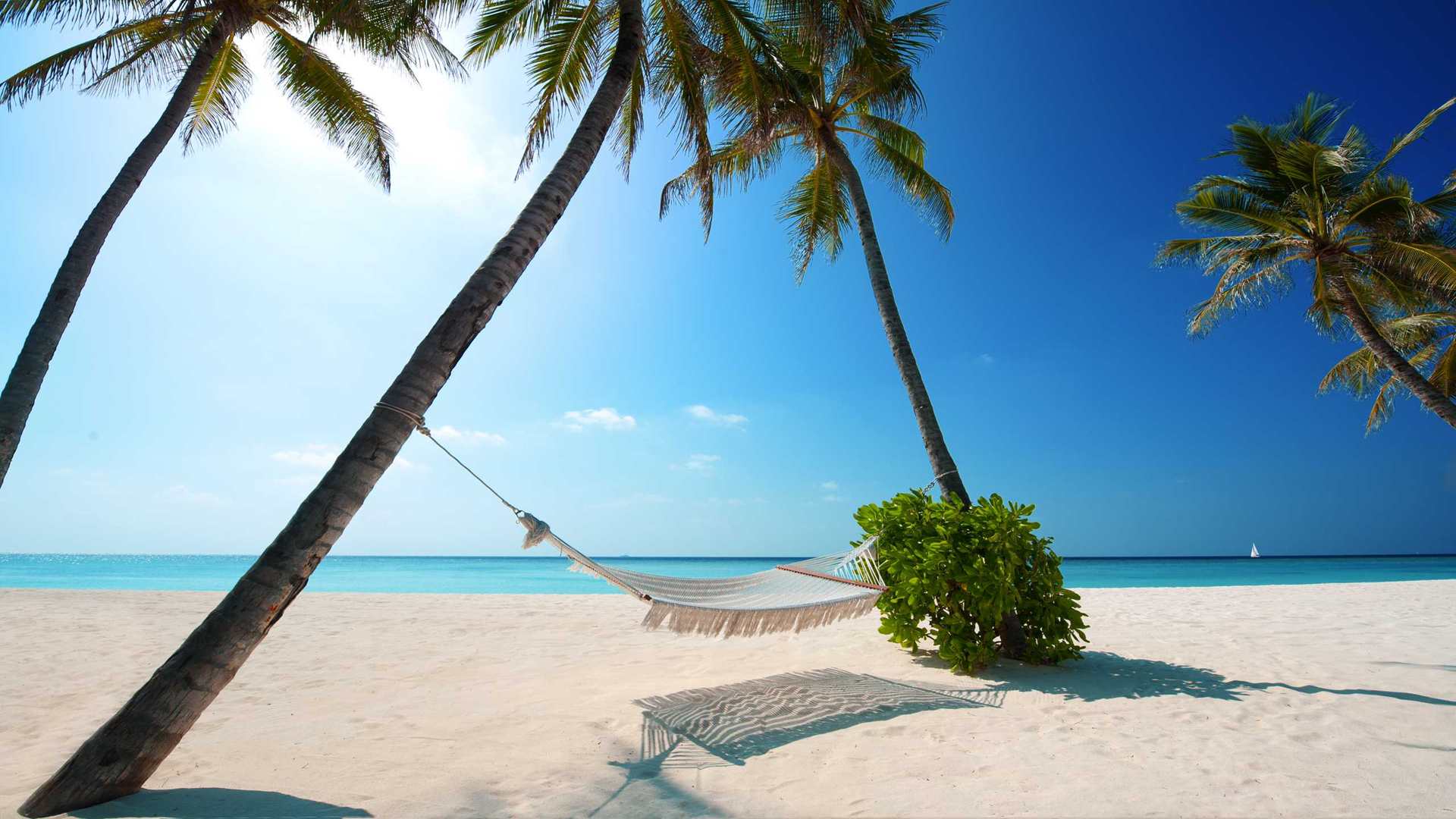 beach5 — beach wallpaper