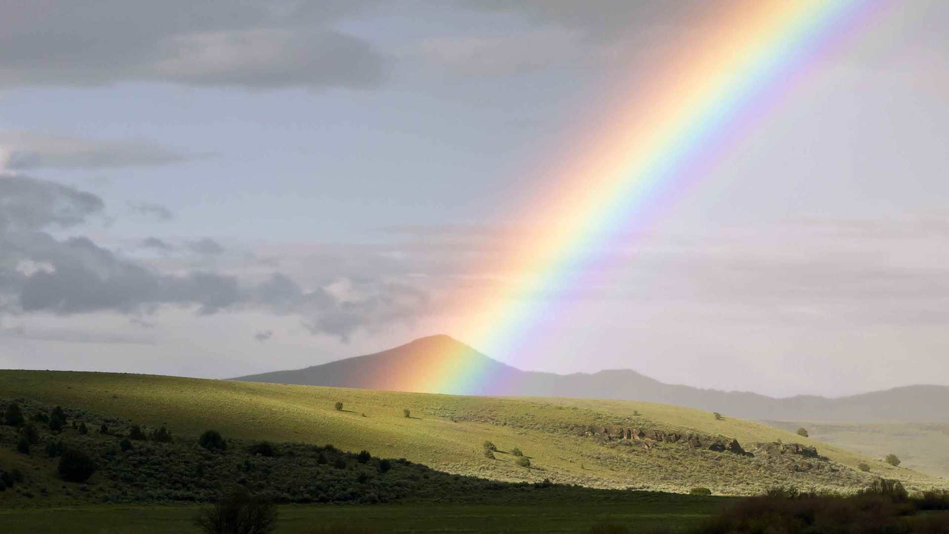 02276_ochocorainbow_2560x1600 — dynamic wallpaper