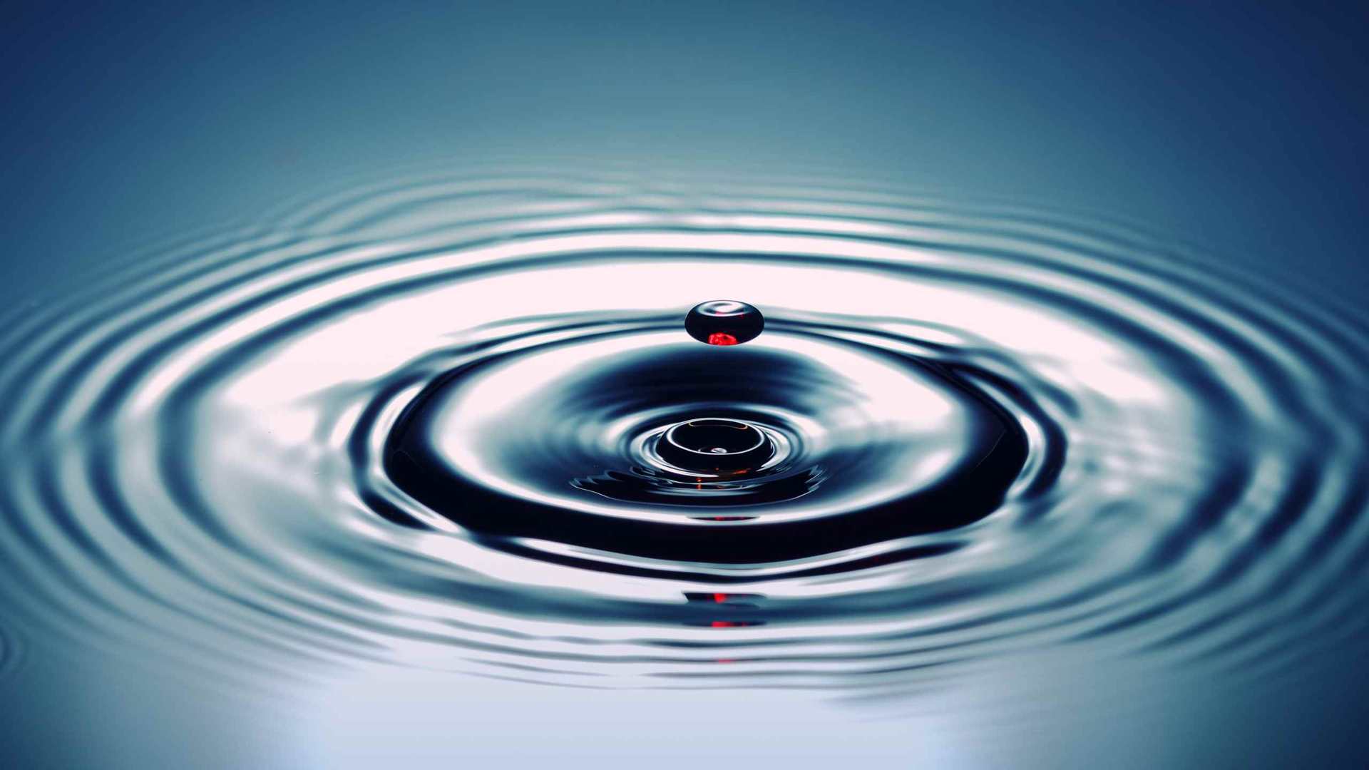 02411_lifesaver_2560x1600 — dynamic wallpaper