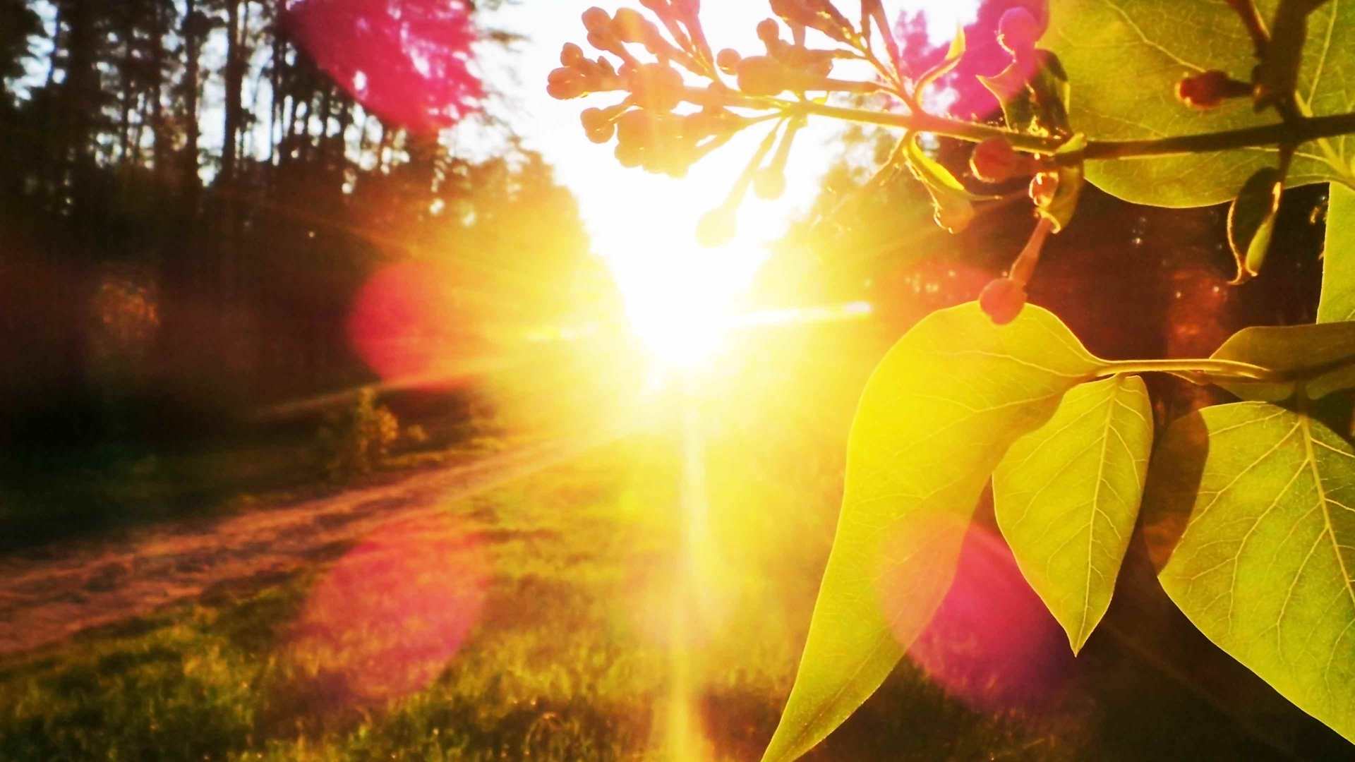 Russian Sunset — light wallpaper