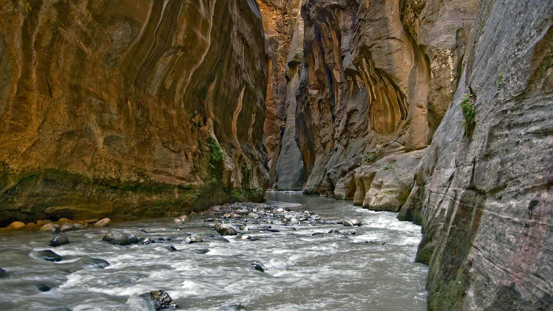 01524_awalkintime_1920x1200 — mountain wallpaper