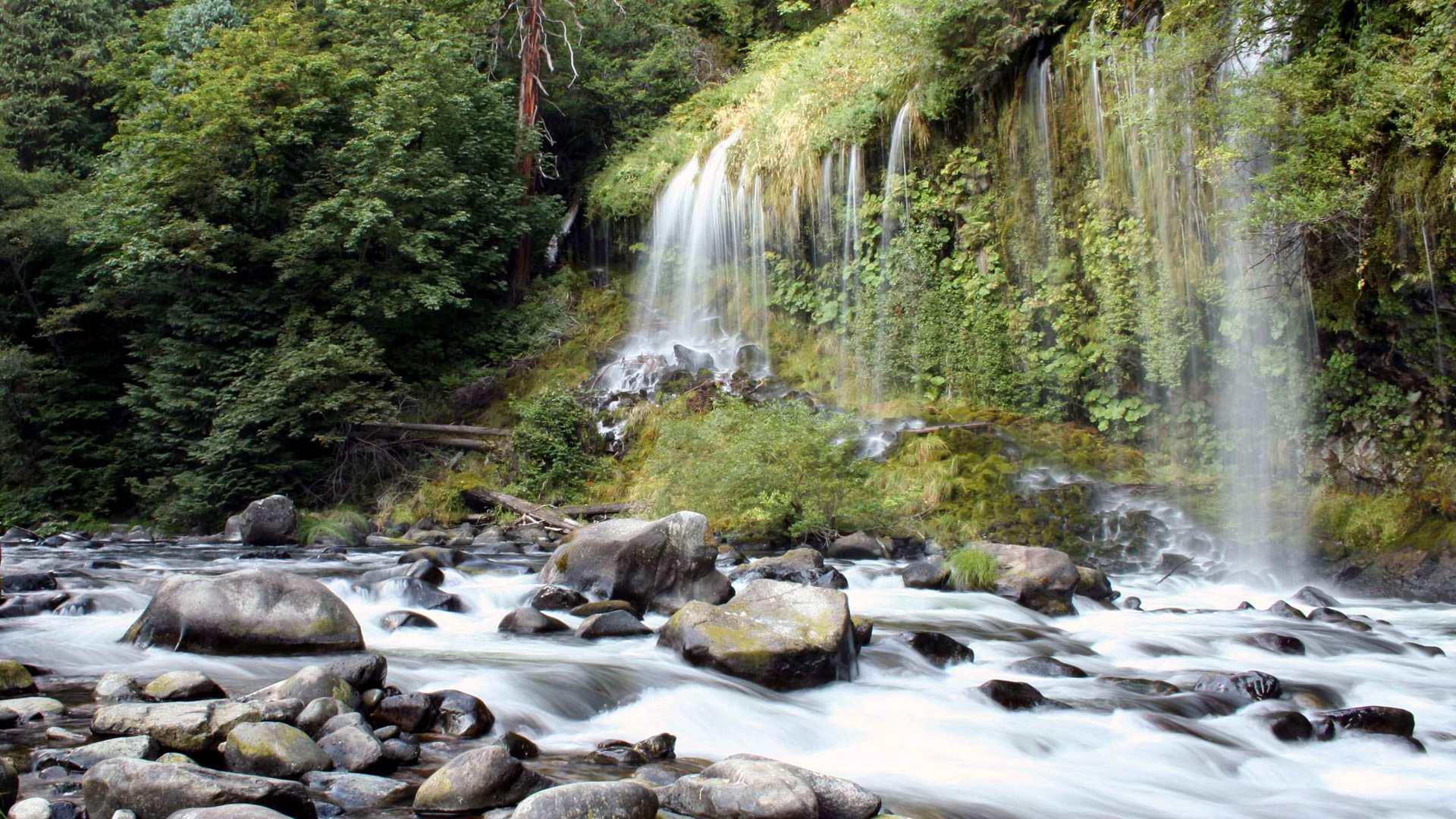01106_mossbraefalls_2560x1600 — nature wallpaper