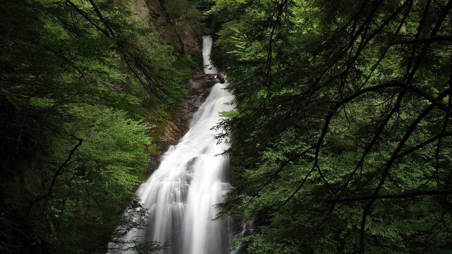 01657_waterfallinthewoods_2560x1600 — nature wallpaper