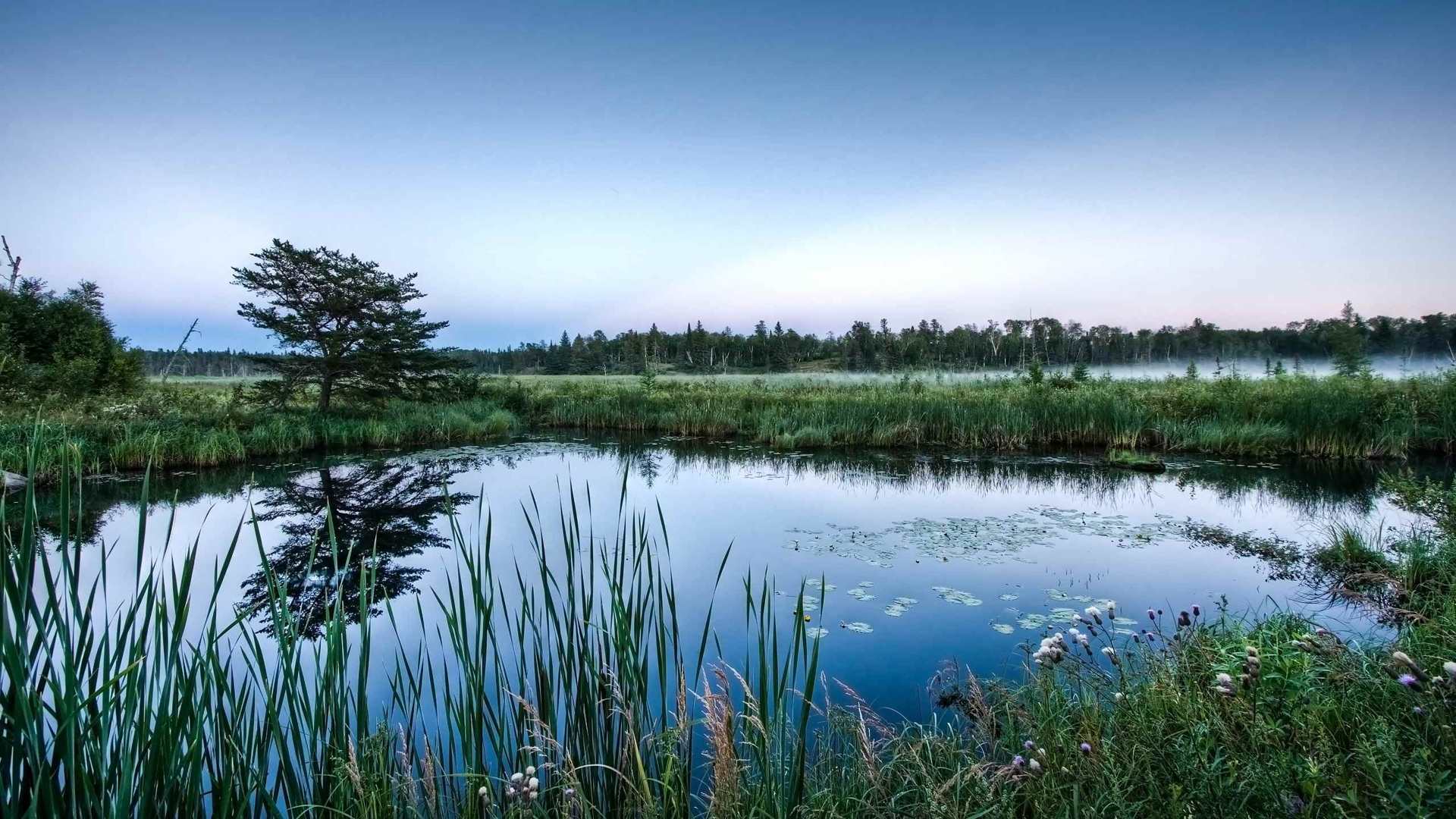 01658_mirrorglasspond_2560x1600 — nature wallpaper