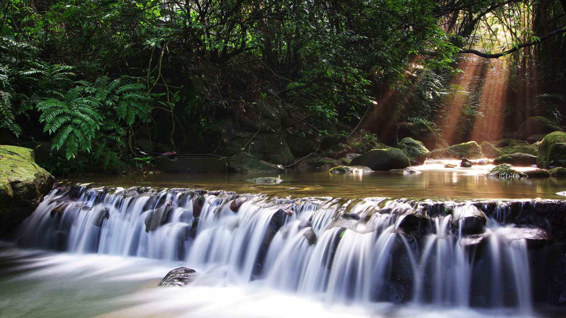 01665_streamssun_2560x1600 — nature wallpaper