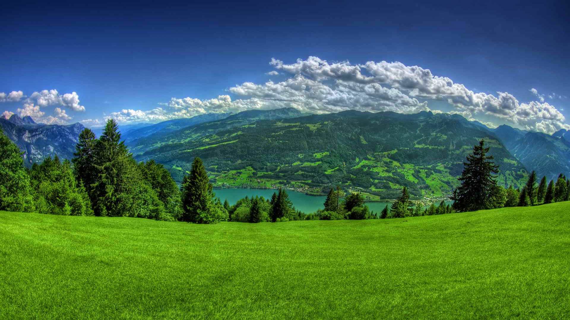 01678_walenstadtberg_1920x1200 — nature wallpaper