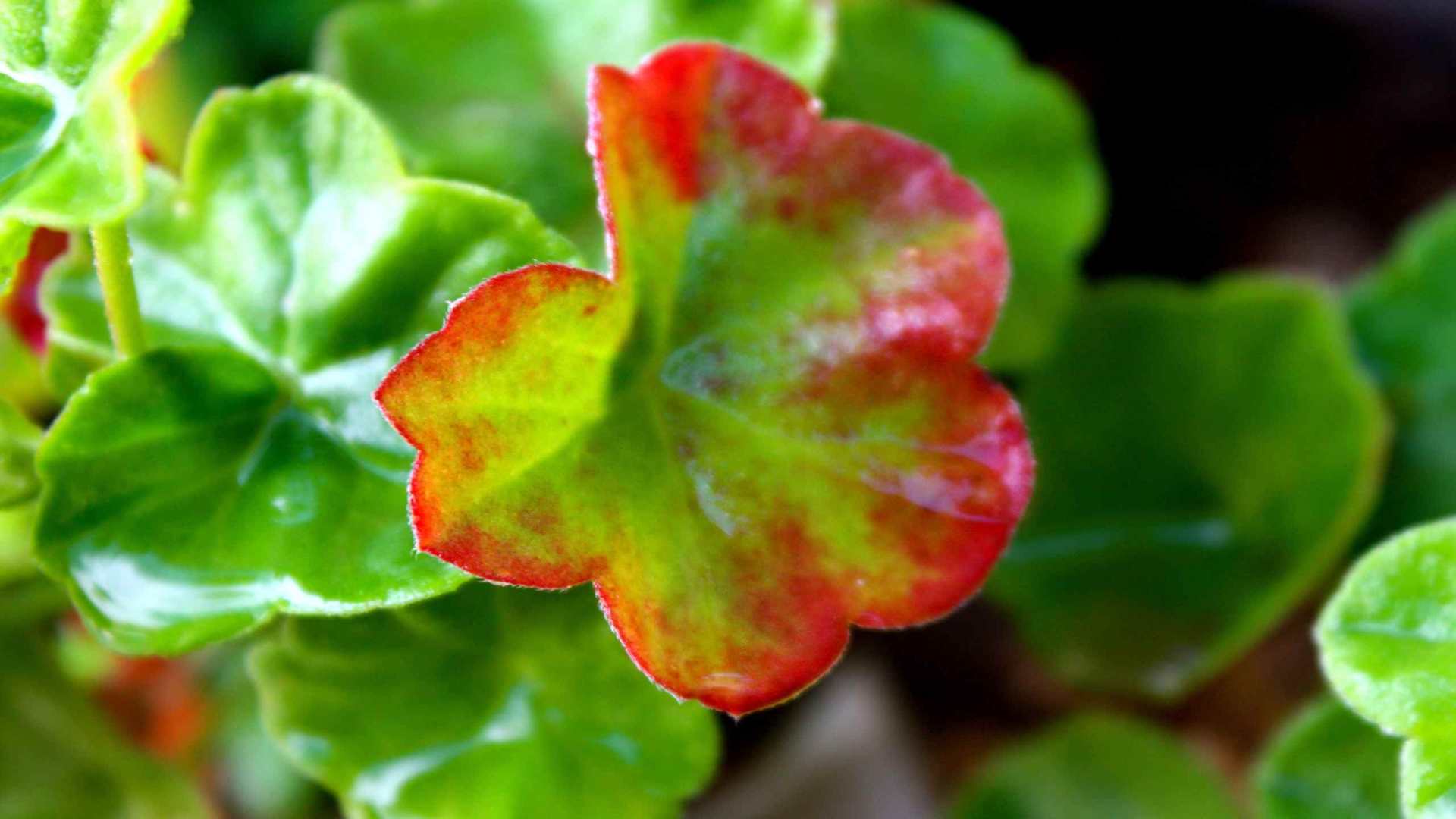 01853_iamdifferent_2560x1600 — nature wallpaper