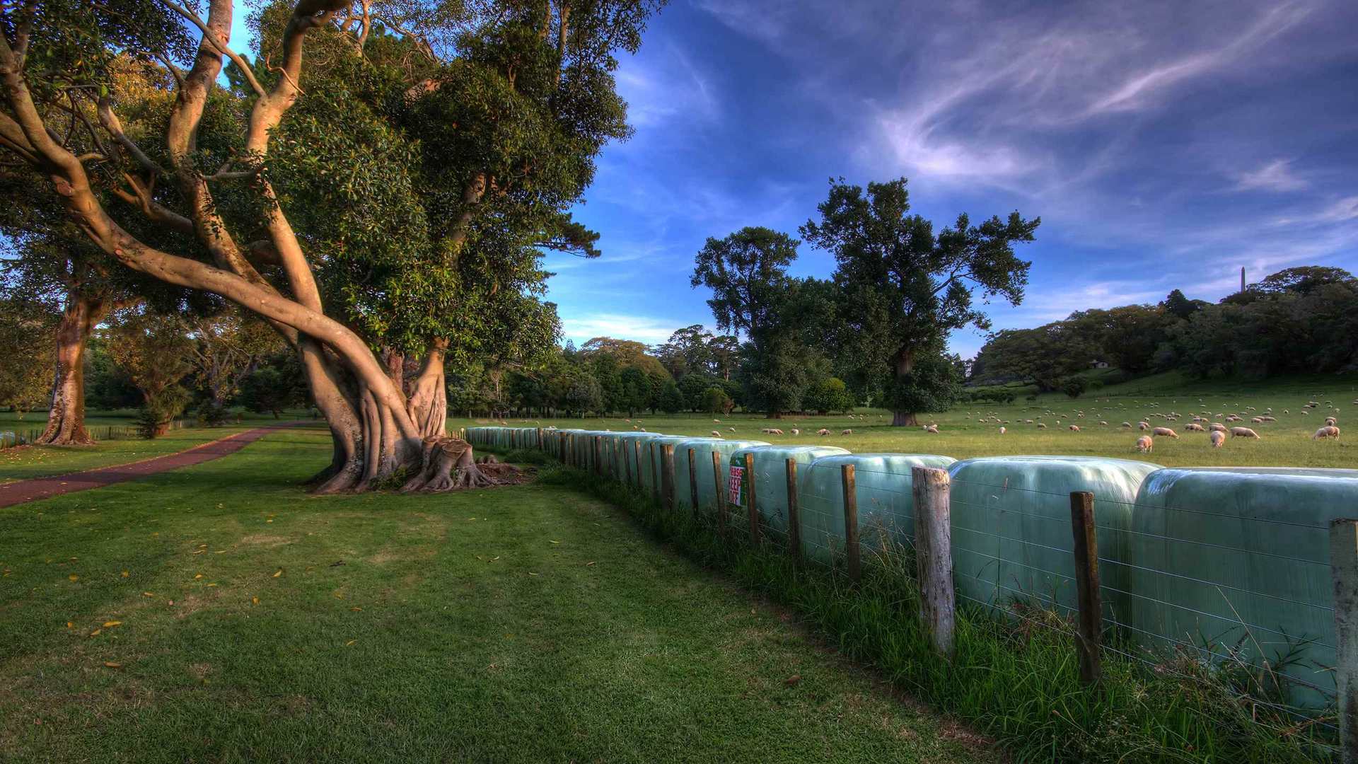 01869_atthepark_2560x1600 — nature wallpaper