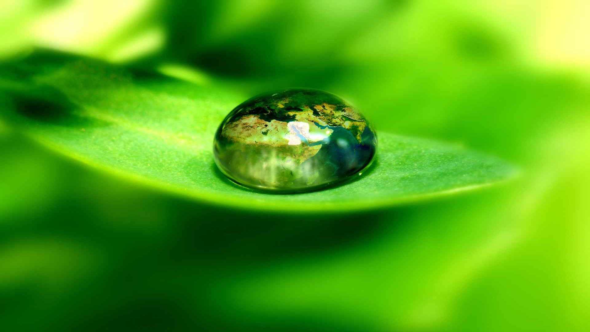 01981_worldongreenleaf_1920x1200 — nature wallpaper