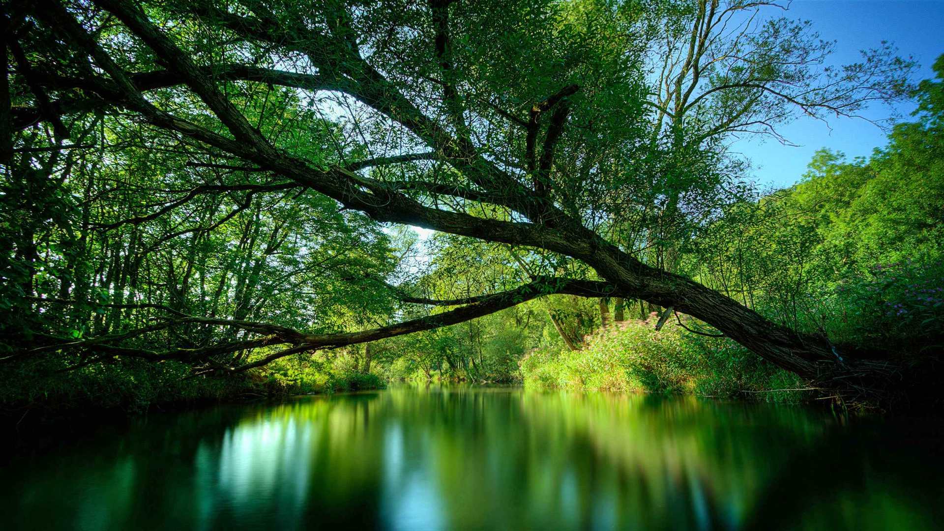 02001_resistance_2560x1600 — nature wallpaper