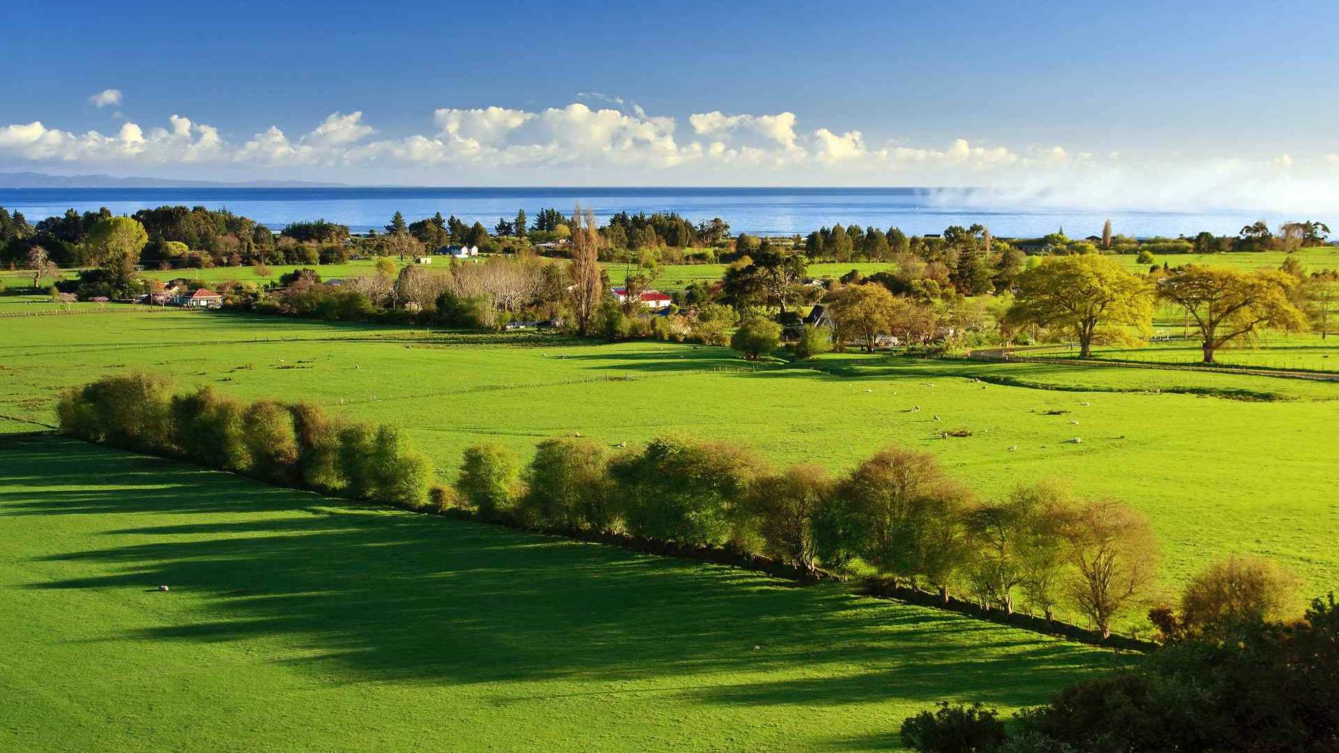 02056_morninglight_1920x1200 — nature wallpaper