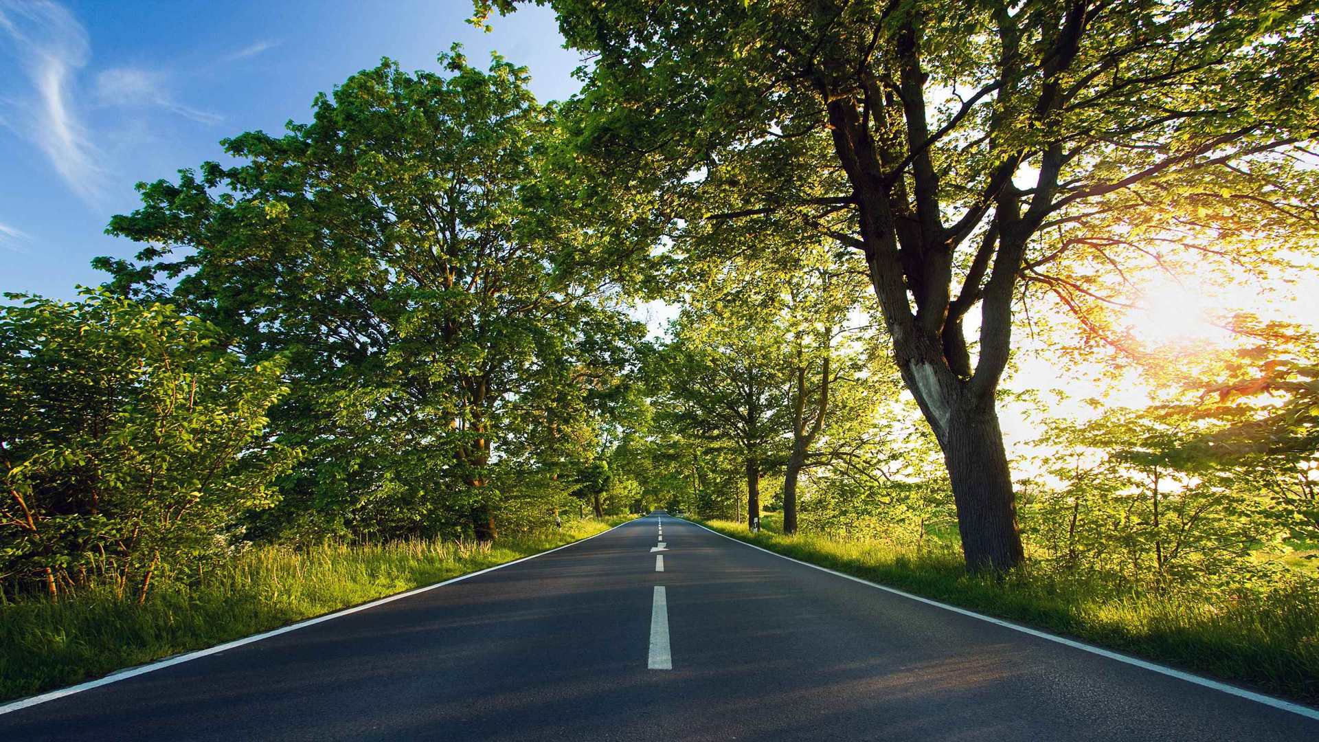 02089_onepath_2560x1600 — nature wallpaper