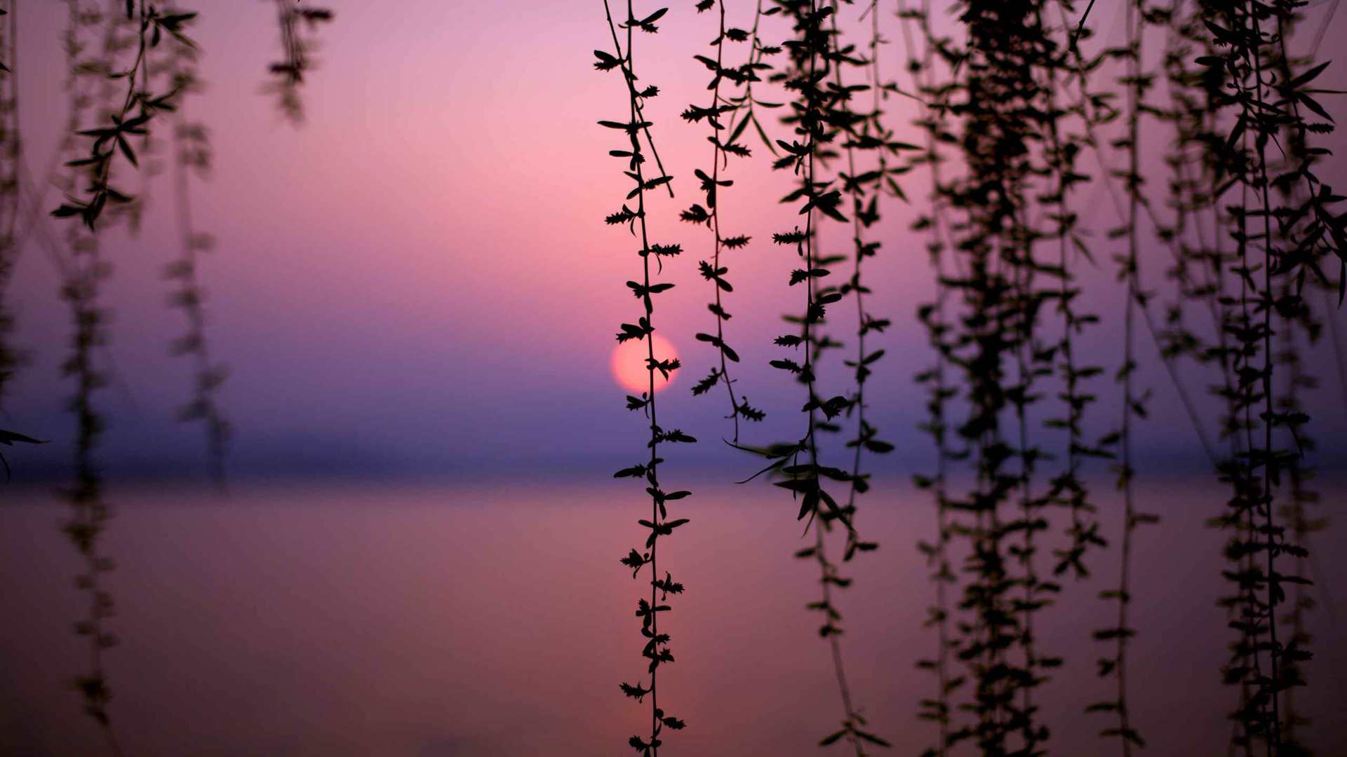02204_westlakeatsunset_2560x1600 — nature wallpaper
