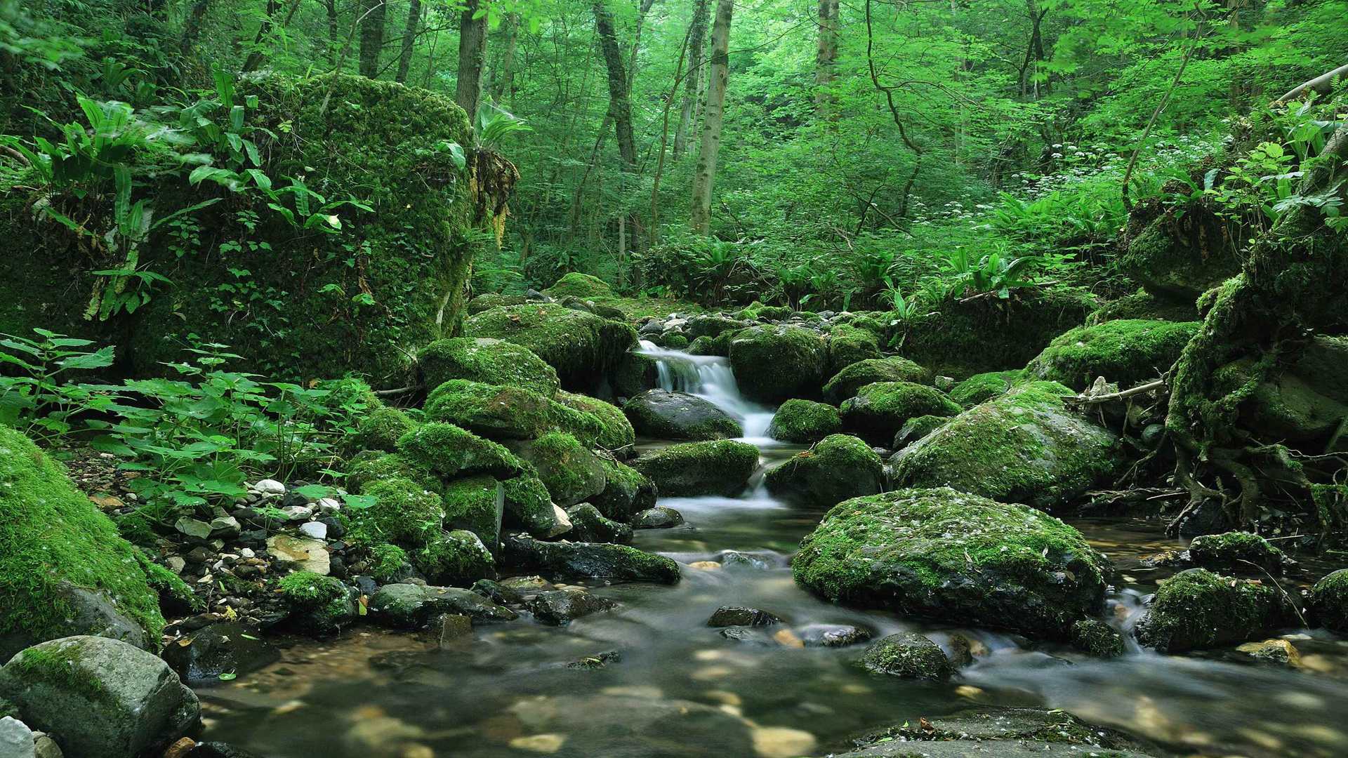 02271_silence_2560x1600 — nature wallpaper