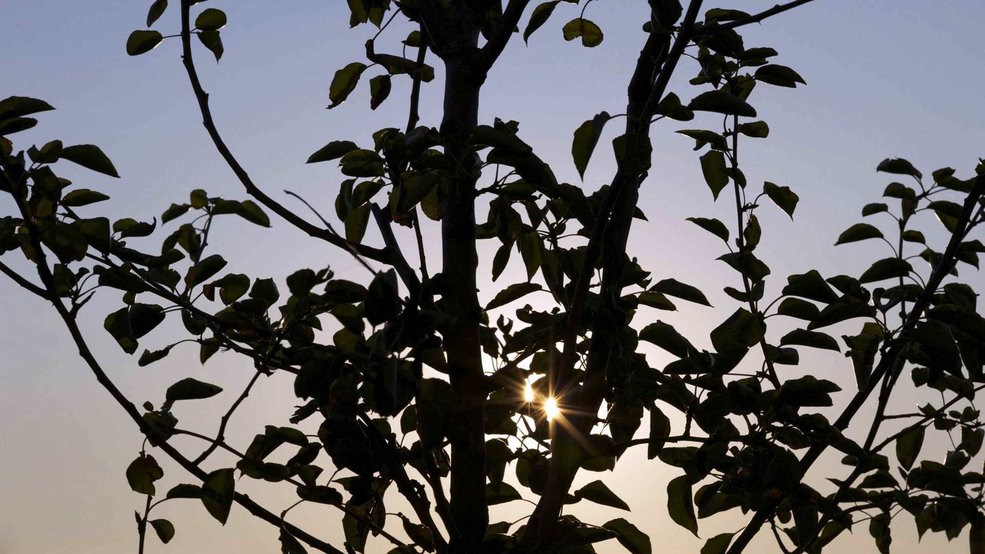 02320_matilde_2560x1600 — nature wallpaper
