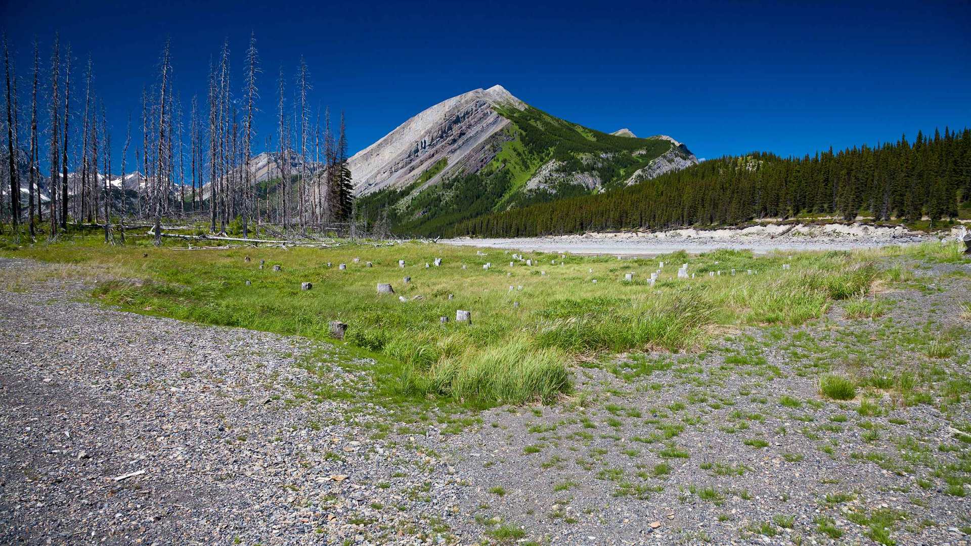 02323_mountindefatigable_2560x1600 — nature wallpaper