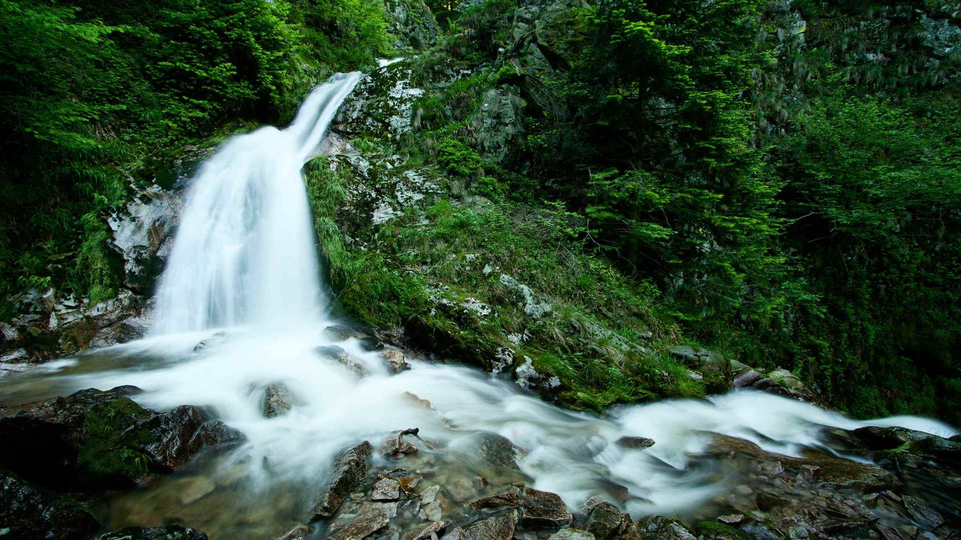 02337_seasonofillusions_2560x1600 — nature wallpaper