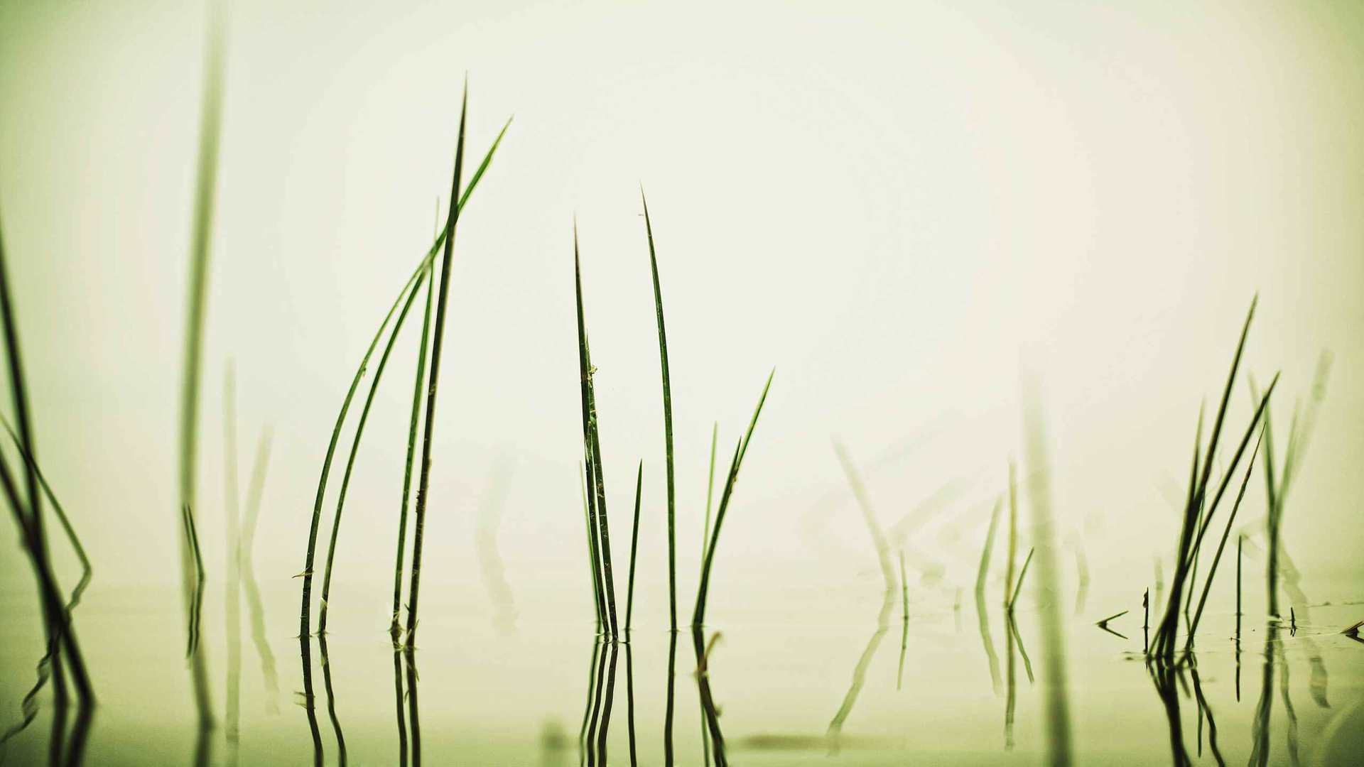 02349_away_2560x1600 — nature wallpaper