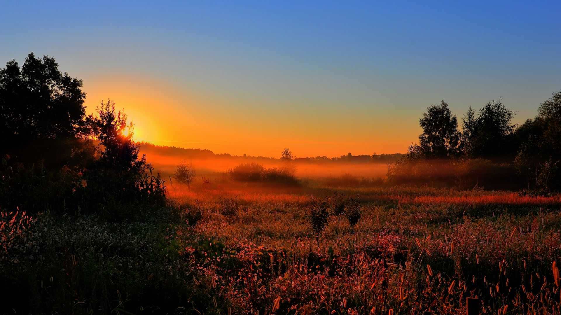 zakat_solnce_osveschenie_pole_oranzhevyy_55442_1920x1080 — suset wallpaper