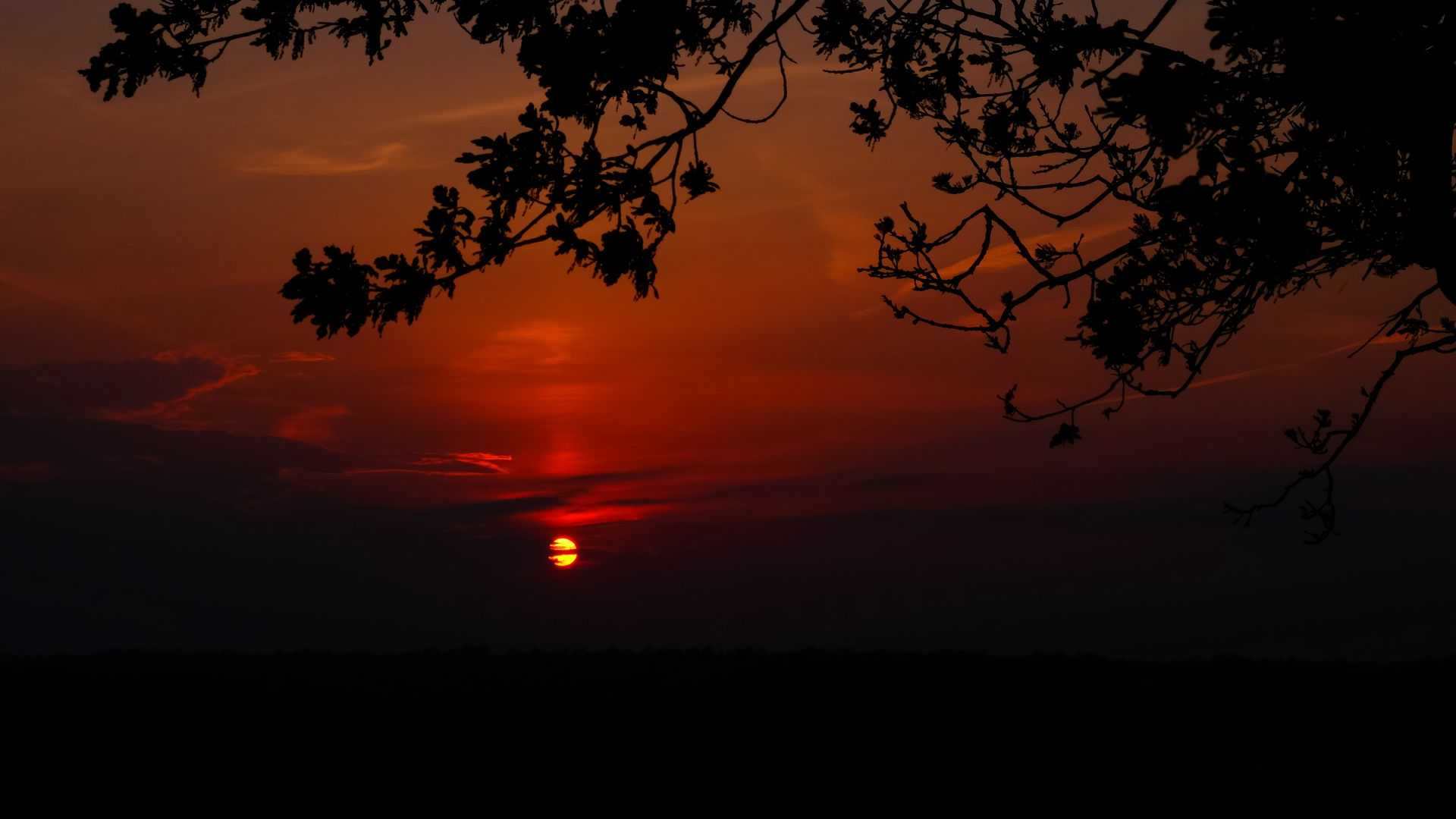 zakat_vetka_oblako_162720_1920x1080 — suset wallpaper